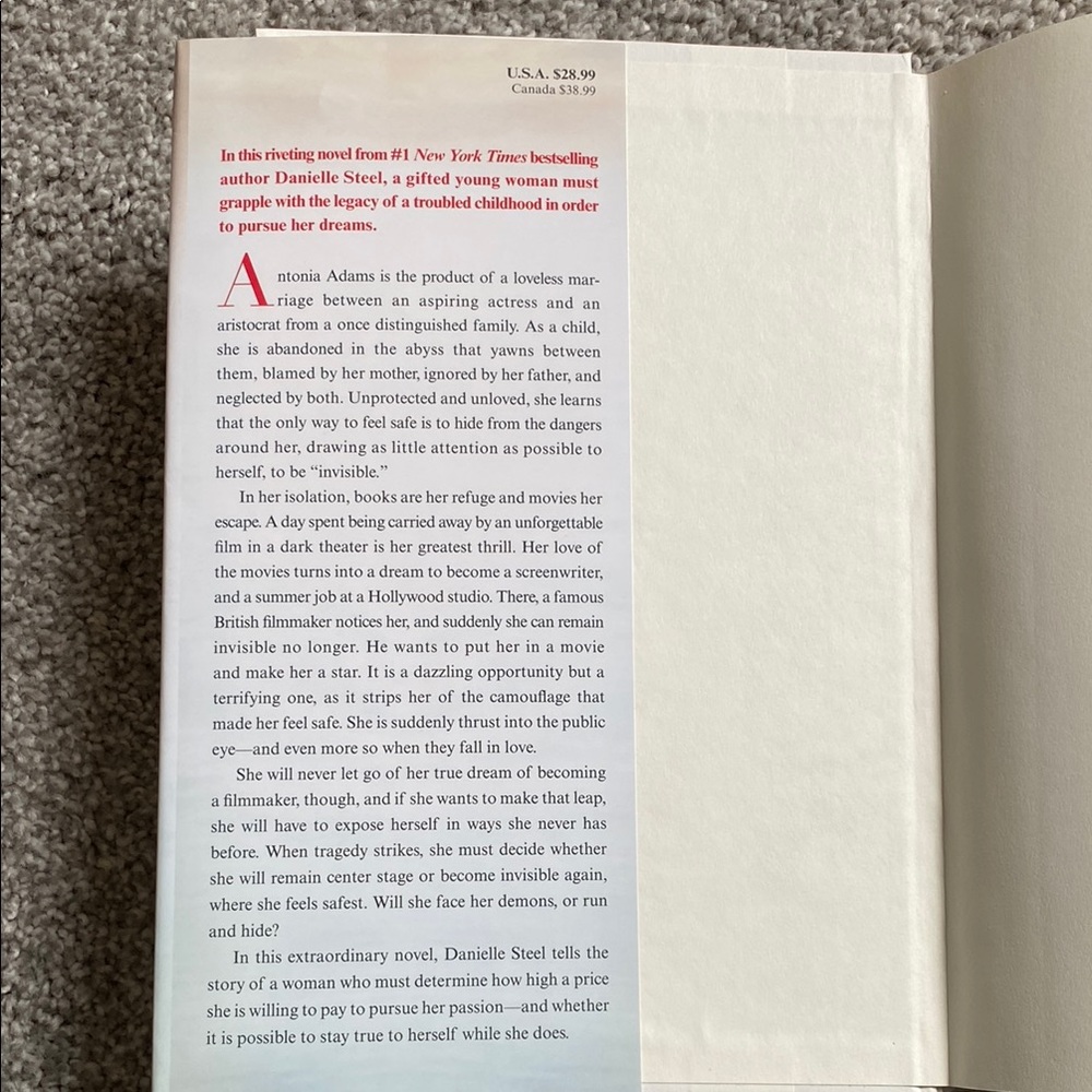 Invisible - Picture 2 of 2